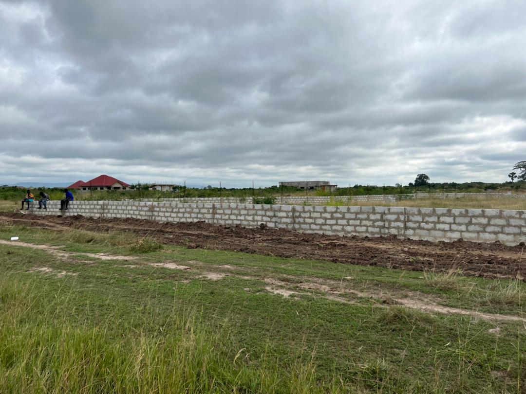 94ac9cc6-9a3c-4e4c-be76-e2333d829084