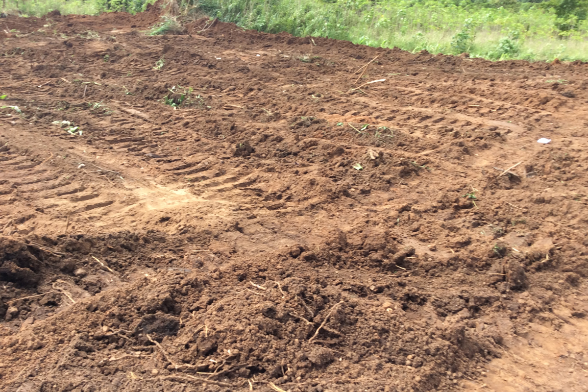 img_0721__FillWzEyMDAsODAwXQ